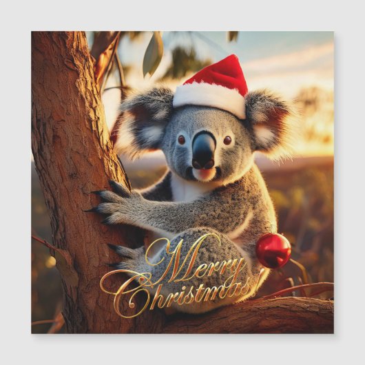 Frohe Weihnachts-Koala in Gumtree Magnetkarte (Vorderseite)
