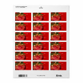 Frohe Weihnachts_Label Adressaufkleber (Vorne)