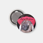 Frohe Weihnachts Magnet (Vorderseite/Rückseite)