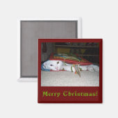 Frohe Weihnachts-Magnet! Magnet (Vorderseite/Rückseite)