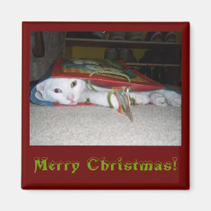 Frohe Weihnachts-Magnet! Magnet