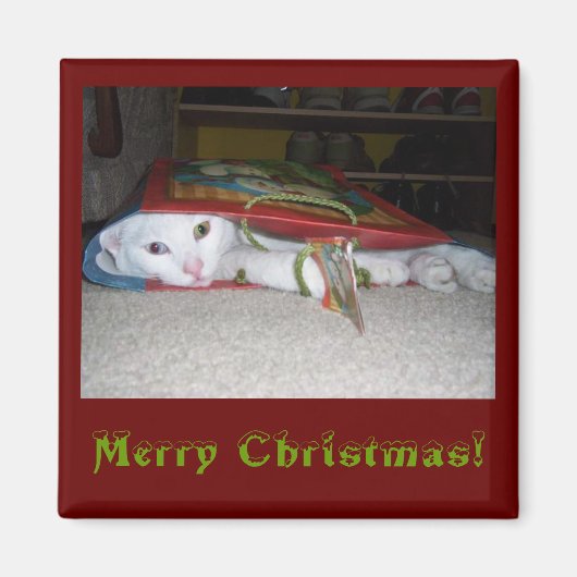 Frohe Weihnachts-Magnet! Magnet (Vorne)