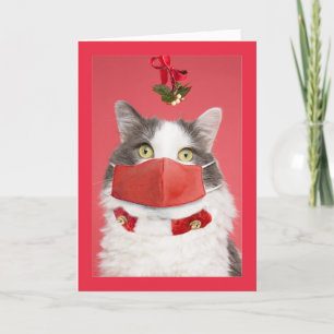 Frohe Weihnachts-Mistletoe-Katze im Spaß der Gesic Feiertagskarte