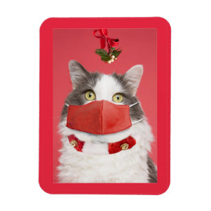 Frohe Weihnachts-Mistletoe-Katze im Spaß der Gesic Magnet