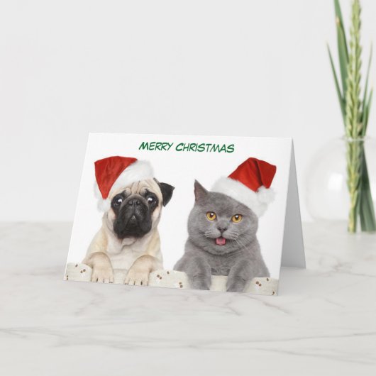 Frohe Weihnachts-Mops und Kittten Feiertagskarte (Vorderseite)