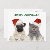 Frohe Weihnachts-Mops und Kittten Feiertagspostkarte (Vorne/Hinten)