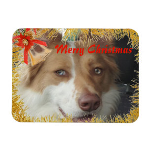 Frohe Weihnachts Pet Foto Magnet