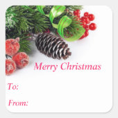 Frohe Weihnachts-Pine-Cone-Aufkleber Quadratischer Aufkleber (Vorderseite)