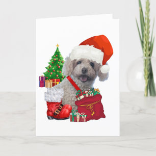 Frohe Weihnachts Poodle Grußkarte Karte