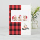 Frohe Weihnachts Red Black Buffalo Kariertes Foto (Stehend Vorderseite)