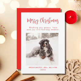 Frohe Weihnachts Red Dog Foto Weihnachtskarte Feiertagskarte