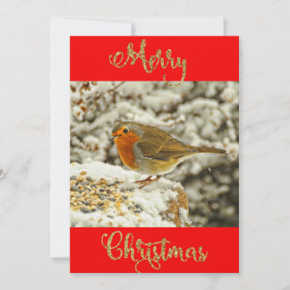 Frohe Weihnachts Robin in Snow Foto Card Feiertagskarte