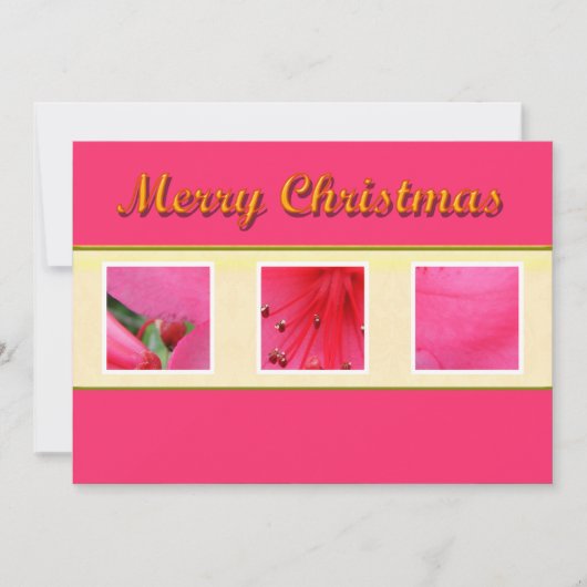 Frohe Weihnachts-Rosa Blume Grußkarte Feiertagskarte (Vorderseite)