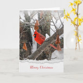 Frohe Weihnachts-Rot-Kardinal auf Zweig Karte (Gelbe Blume)