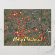 Frohe Weihnachts-Rote Berries Festliches Natur-Fot