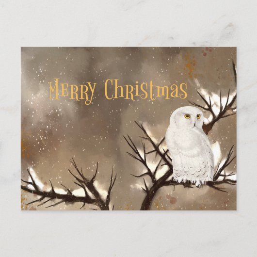 Frohe Weihnachts-Schneeauschale Postkarte (Vorderseite)