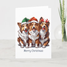 Frohe Weihnachts Shetland Sheepdogs