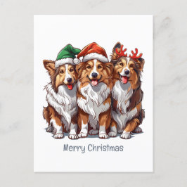 Frohe Weihnachts Shetland Sheepdogs Feiertagspostkarte