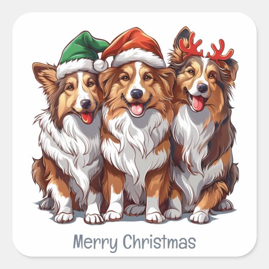 Frohe Weihnachts Shetland Sheepdogs Quadratischer Aufkleber (Vorderseite)
