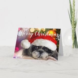Frohe Weihnachts Shih Tzu Grußkarte Feiertagskarte