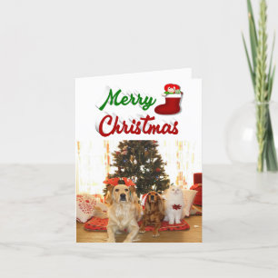 Frohe Weihnachts-Strumpf Foto Rot-Grün-Skript Feiertagskarte
