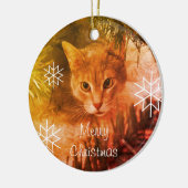 Frohe Weihnachts Tabby Cat Schneeflocken Keramik Ornament (Links)