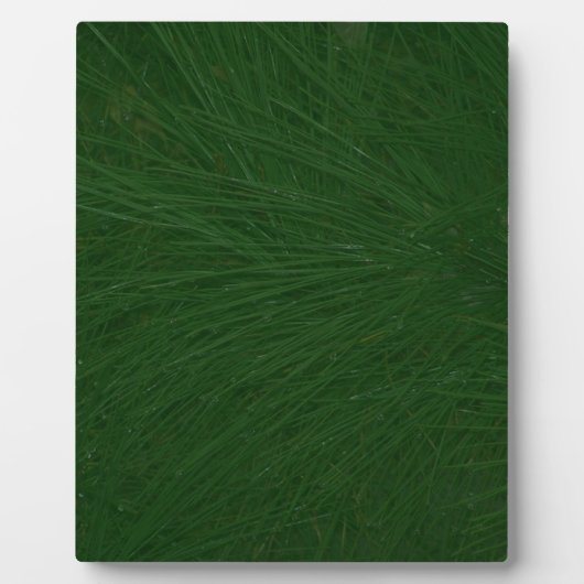 Frohe Weihnachtsbaume Nah Fotoplatte (Vorderseite)