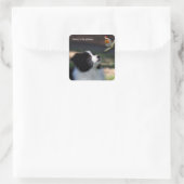 Frohe Weihnachtsborder Collie und Robin Quadratischer Aufkleber (Tasche)