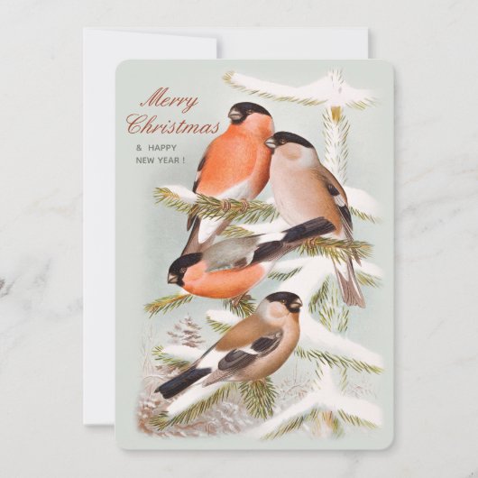 Frohe Weihnachtsbullfinches schneebedeckten Pinien Feiertagskarte (Vorderseite)