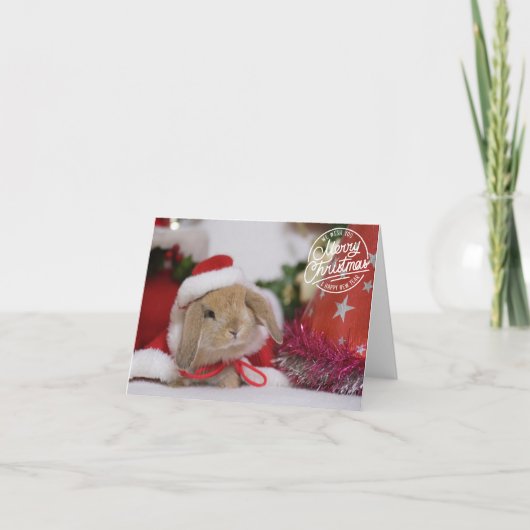 Frohe Weihnachtsbunny in Weihnachtsmannmütze Karte (Vorderseite)
