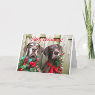 Frohe Weihnachtsdeutsch Kurzhaarzeiger Feiertagskarte