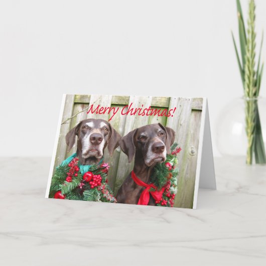 Frohe Weihnachtsdeutsch Kurzhaarzeiger Feiertagskarte (Vorderseite)