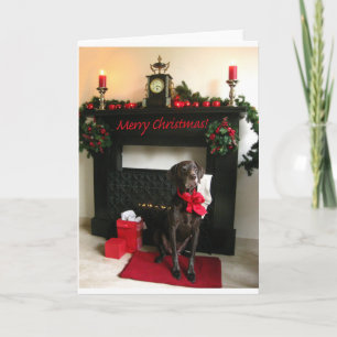 Frohe Weihnachtsdeutsch Kurzhaarzeiger Feiertagskarte