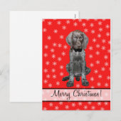 Frohe Weihnachtsdeutsch Kurzhaarzeiger Feiertagspostkarte (Vorne/Hinten)