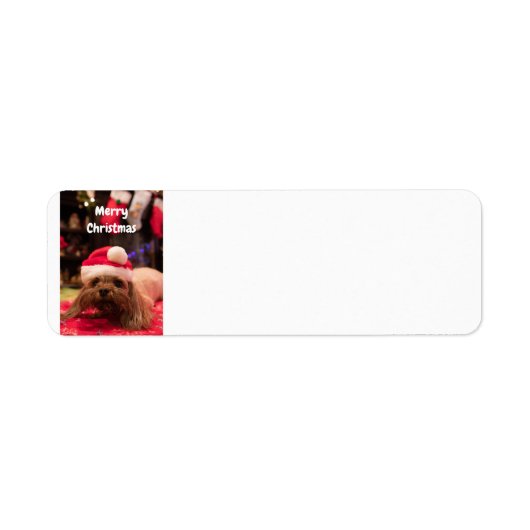 Frohe Weihnachtsfrau (Vorne)