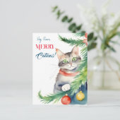 Frohe Weihnachtsgrüße für Katzenmenschen Postkarte (Stehend Vorderseite)