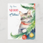 Frohe Weihnachtsgrüße für Katzenmenschen Postkarte (Vorderseite)