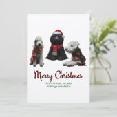 Frohe Weihnachtshunde Feiertagskarte (Stehend Vorderseite)