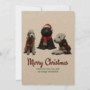 Frohe Weihnachtshunde Feiertagskarte
