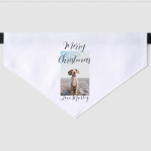 Frohe Weihnachtshunde Katze Foto Weihnachtsgeschen