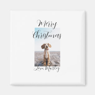Frohe Weihnachtshunde Katze Foto Weihnachtsgeschen Magnet