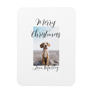 Frohe Weihnachtshunde Katze Foto Weihnachtsgeschen Magnet
