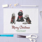 Frohe Weihnachtshunde Seidenpapier (Handwerk)