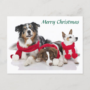 Frohe Weihnachtsjungen Feiertagspostkarte