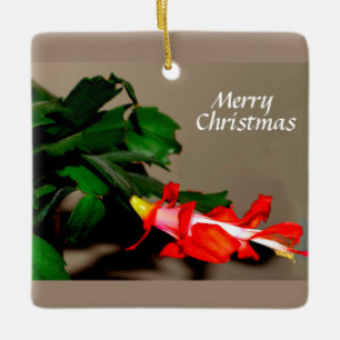 Frohe Weihnachtskaktus Keramikornament