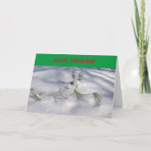 Frohe Weihnachtskarte (Vorderseite)