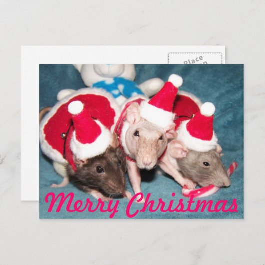 Frohe Weihnachtskarte Feiertagspostkarte (Vorne/Hinten)