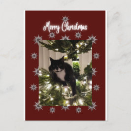 Frohe Weihnachtskarte mit Tuxedo Katze auf meinem  Feiertagspostkarte