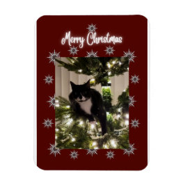 Frohe Weihnachtskarte mit Tuxedo Katze auf meinem  Magnet