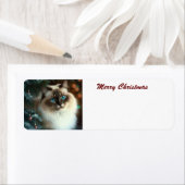 Frohe Weihnachtskat (Insitu)